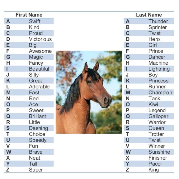 Girl Horse Names